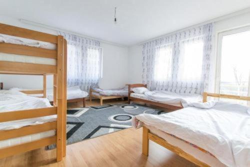 Dedushi Guesthouse &Wood Cabins-Camping Place Gusinje Exterior photo
